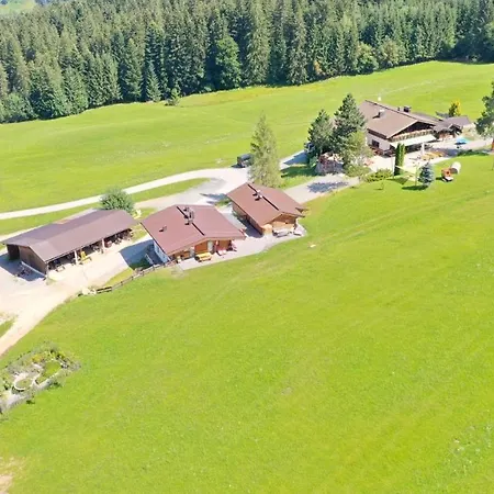 公寓 Berggasthof Staudachstub'n 蒂罗尔-基希贝格