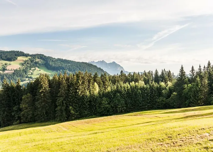 Berggasthof Staudachstub'n Appartement Kirchberg en Tyrol