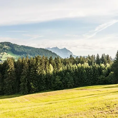 Berggasthof Staudachstub'n Appartement Kirchberg in Tirol