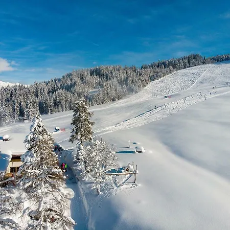 Berggasthof Staudachstub'n Appartement Kirchberg in Tirol